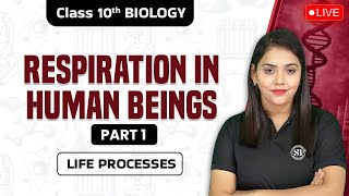 CLASS 10th BIOLOGY  RESPIRATION IN HUMAN BEINGS PART 1  LIFE PROCESSES BIOLOGY  BY SHIPRA MAM [upl. by Anual]