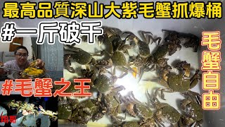 《深山趕溪》大毛蟹抓爆桶秋天到來就是要吃秋蟹啊爆膏爆黃 超高品質自己動手抓0元吃到你會怕來看翔哥秀操作啦翔哥拜師 拜入鱸鰻魂抓海鲜 趕海 自由潛水 釣魚 料理 做菜 [upl. by Maurer836]