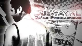 DJ Wayne  Cina Dui Roka Fijian Remix 2013 [upl. by Seedman]