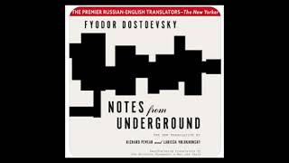 Notes From Underground  Full Audiobook [upl. by Aihsitan]