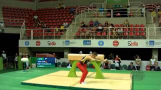 BRETSCHNEIDER Andreas GER  2016 Olympic Test Event Rio BRA  Qualifications Pommel Horse [upl. by Ainna]