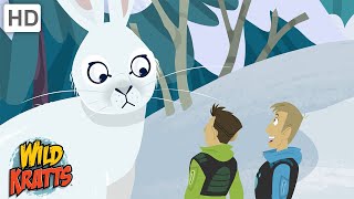 Winter Adventures Part 2  Happy Holidays  Wild Kratts [upl. by Jacki]