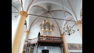 Organ concert in Kampen NL  Buitenkerk [upl. by Seymour98]