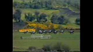 1989 EBF Tattersalls Gold Cup Novice Handicap Chase [upl. by Cita]