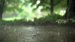 Relax Raining Sleep Music 4Hrs  เสียงฝนตก ASMR เพลงกล่อมนอน ผ่อนคลา [upl. by Powe]