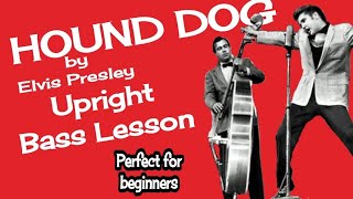 HOUND DOG Elvis Presley Bass Cover amp Lesson TABS Beginner Song Rock n Roll Upright Bass Bill Black [upl. by Inalan]