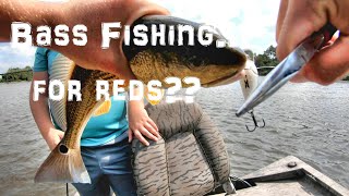 Bass Fishing for RedsGotta Love Louisiana [upl. by Clarey]