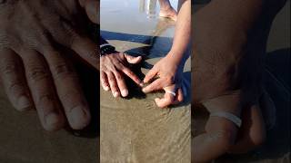 Unbelievable Catching with Empty Hand fishing fishingvideos seafishing thoondilulagam [upl. by Ynobe]