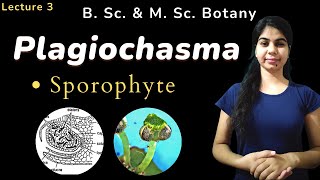 Plagiochasma  Sporophyte  Botany  B Sc amp M Sc [upl. by Sheryl]