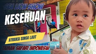 Atraksi Singa Laut Taman Safari Bogor  Hasan dan Keluarga [upl. by Avehstab]