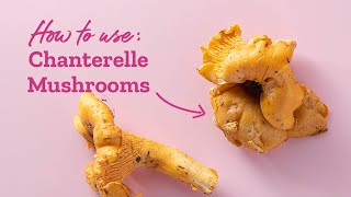 Cooking With Chanterelle Mushrooms  Plantbased Recipes [upl. by Rianna]