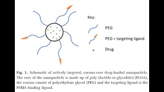 PEGPLGA and PLGANHS from PolySciTech used in development of cancer targeting nanoparticles [upl. by Hermie147]