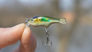 CHEAP Micro Crankbait Is It any Good [upl. by Aenel]