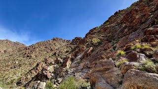 The Waters of Palm Canyon  AnzaBorrego Desert State Park [upl. by Lokim558]