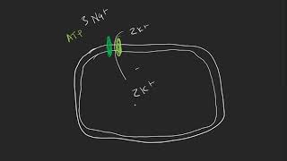 Nerve impulse polarized state of cell xii biology [upl. by Jada]