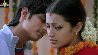 Nuvvostanante Nenoddantana Movie Scenes  Siddharth and Trisha Scene  Sri Balaji Video [upl. by Chapin]