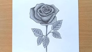 How to Draw A rose  Pencil Drawing and Shading [upl. by Normy527]