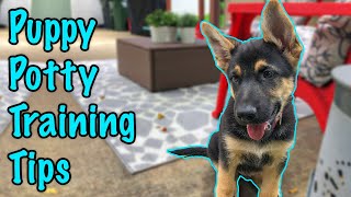 How to Potty Train a German Shepherd Puppy [upl. by Ilaire795]