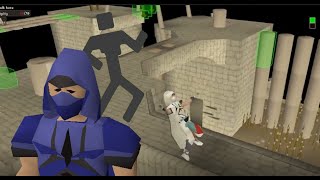 Brimhaven Agility Arena Guide OSRS [upl. by Adnarim]