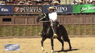 Final movimiento a la rienda Rancagua 2019 [upl. by Sedicla689]