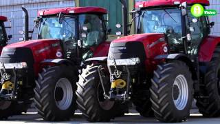 Új Case IH 170 traktorok a Dalmand Zrt nél  Az Invest Kft költségtakarékos traktorai [upl. by Acinej489]