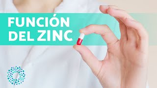 ¿Para Qué SIRVE el ZINC 🤔 7 Beneficios de la Vitamina Zinc [upl. by Llenel853]