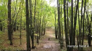 Herons Nest Long Tee Flythrough Harrison Michigan  Disc Golf Course [upl. by Finbar581]