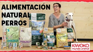 MEJOR pienso NATURAL para PERROS 🐕🥦【Consejos y Beneficios】✅🥇 [upl. by Nnewg764]