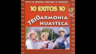 Trio Armonia Huasteca  Amorcito Norteno [upl. by Prince]