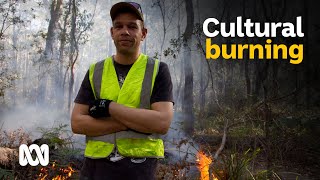 Indigenous fire methods protect land before and after the Tathra bushfire  ABC Australia [upl. by Attezi]