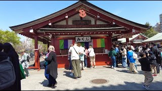 日本東京淺草寺雷門Sensoji Temple in Tokyo Japan [upl. by Kho]