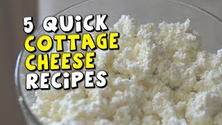 5 Quick Cottage Cheese Recipes [upl. by Rock687]