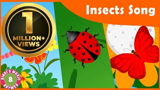 Insects Song for kids  Toddler Rhymes  Educational Songs  Bindis Music amp Rhymes [upl. by Anana]