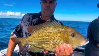 CALOUNDRA WIDE FISHING GENTLMANS HOURS  Start late leave early [upl. by Alliuqa611]