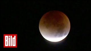 Blutmond über Deutschland  Supermond im September  Mondfinsternis  Schatten [upl. by Thorncombe87]