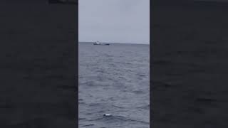 Rescue a capsized ship In Persian Gulf lifeatsea abandoned [upl. by Rhys]