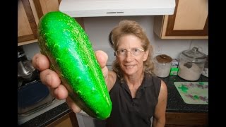 How I Preserve Dill Pickles Easily  NO Water Bath [upl. by Schiffman]