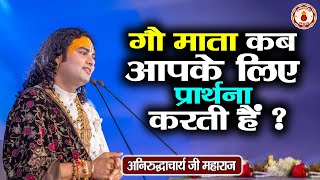 गौ माता कब आपके लिए प्रार्थना करती है  Aniruddhacharya Ji Maharaj  Sanatan Vachan  Pravachan [upl. by Cicero]