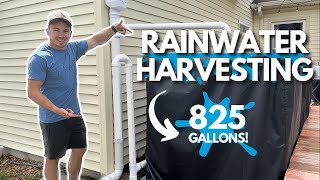 The BEST DIY RAIN BARREL Install Complete Guide [upl. by Dawn]