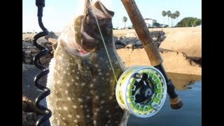 Fly fishing for flounder and fluke how to Techniques and gear [upl. by Atinad]