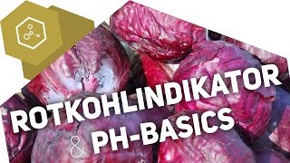 Wie funktioniert der Rotkohlindikator  pHBasics [upl. by Nyloj]