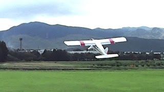 STOL TEST  HANGAR9 DHC2 BEAVER RC PLANE [upl. by Yeltnarb]