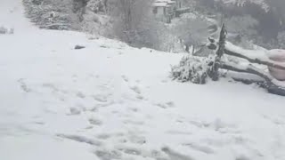 Mussoorie snowfall 2024 [upl. by Auoh]