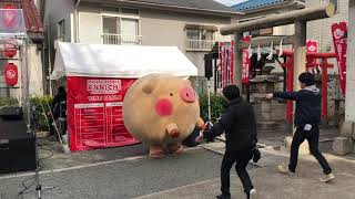 Coroton the pig dances at Onden Shrine [upl. by Clough803]