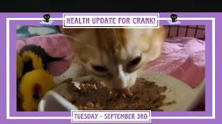 Health Update for Crank  Tuesday September 3rd [upl. by Helaina]