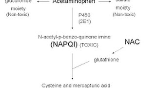 Acetaminophen Toxicity  Poisoning [upl. by Bradski]