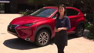 2015 Lexus NX Interior Features Walk Around  Lexus [upl. by Rivkah]