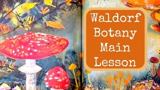 WALDORF MAIN LESSON BOTANY  UNIT STUDY PLANTS amp TREES  HOMESCHOOL [upl. by Chilson]