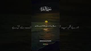 Surah Al baqra with Urdu translation💗🌼islamicstatus translationquran beautifullslamic shorts [upl. by Nehr310]