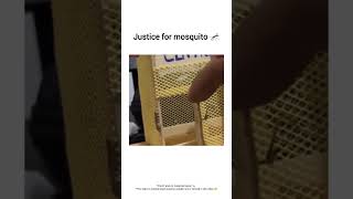 Justice for mosquito 🦟explore meme [upl. by Ayam]